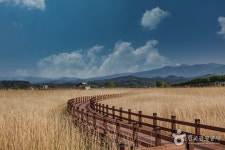 범바우막국수 양양본점 - 주변 여행 및 근처 관광 명소 - 국내 여행 정보와 관광 명소 정보