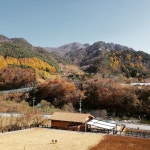 평창문화관광 > 음식/숙박/쇼핑 > 살래요 평창문화관광  &gt; 음식/숙박/쇼핑 &gt; 살래요