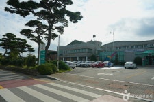 남면 벚꽃길 관광 정보와 주변 관광 명소 및 근처 맛집 여행 정보