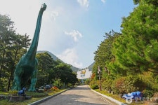 한국자연사박물관 문화 정보와 주변 관광 명소 및 근처 맛집 여행 정보