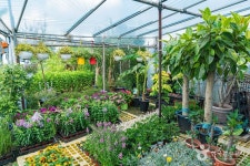 상무화훼단지 쇼핑 정보와 주변 관광 명소 및 근처 맛집 여행 정보