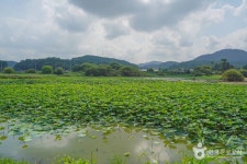 대율저수지 레저스포츠 정보와 주변 관광 명소 및 근처 맛집 여행 정보