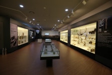 Seoul Yangnyeongsi Herb Medicine Museum (서울약령시 한의약박물관) - Culture - Korea travel and tourism information