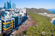 Dalmaji Road (해운대 달맞이길) - Sightseeing - Korea travel and tourism information
