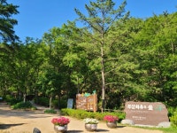 글로컬 문화 in(人) 남산 페스티벌 - 주변 여행 및 근처 관광 명소 - 국내 여행 정보와 관광 명소 정보