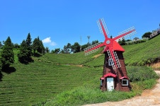 보성 그린티하우스 - 주변 여행 및 근처 관광 명소 - 국내 여행 정보와 관광 명소 정보