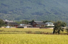 오미 은하수 마을 - 주변 여행 및 근처 관광 명소 - 국내 여행 정보와 관광 명소 정보