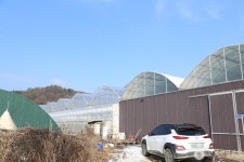 별마을딸기체험농장 관광 정보와 주변 관광 명소 및 근처 맛집 여행 정보