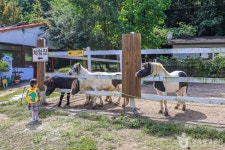 은아목장 관광 정보와 주변 관광 명소 및 근처 맛집 여행 정보