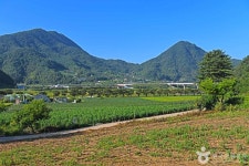 매화마을 녹색길 레저스포츠 정보와 주변 관광 명소 및 근처 맛집 여행 정보