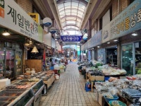 고성시장 쇼핑 정보와 주변 관광 명소 및 근처 맛집 여행 정보