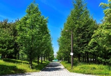 화성시 향토박물관 - 주변 여행 및 근처 관광 명소 - 국내 여행 정보와 관광 명소 정보