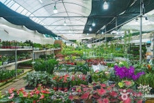 상무화훼단지 쇼핑 정보와 주변 관광 명소 및 근처 맛집 여행 정보