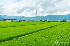 용두마을 관광 정보와 주변 관광 명소 및 근처 맛집 여행 정보