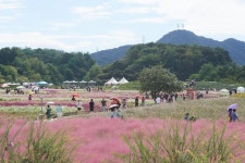 천보웰니스 - 주변 여행 및 근처 관광 명소 - 국내 여행 정보와 관광 명소 정보