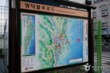 [영덕 블루로드] 3코스 바람의 언덕 레저스포츠 정보와 주변 관광 명소 및 근처 맛집 여행 정보