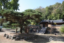 [대구올레 팔공산 4코스] 평광동 왕건길 - 관광지정보 | 어디로 갈까 | 대한민국구석구석