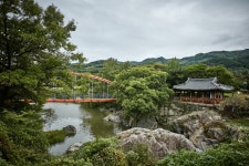 숲나들e - 여행정보 |