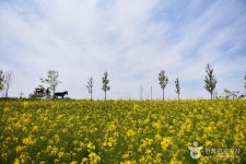 Borinara Hagwon Farm (보리나라 학원농장) - Sightseeing - Korea travel and tourism information