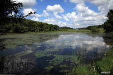 오수리석불 - 주변 여행 및 근처 관광 명소 - 국내 여행 정보와 관광 명소 정보
