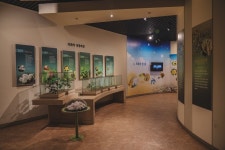 목면시배유지 문화 정보와 주변 관광 명소 및 근처 맛집 여행 정보