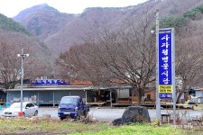 단장 이팝꽃 터널길 - 주변 여행 및 근처 관광 명소 - 국내 여행 정보와 관광 명소 정보