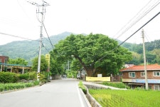 [지리산 둘레길 코스] 금계~동강 - 주변 여행 및 근처 관광 명소 - 국내 여행 정보와 관광 명소 정보