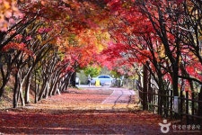 풍암정 관광 정보와 주변 관광 명소 및 근처 맛집 여행 정보
