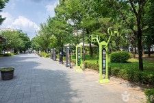 화정중앙공원 관광 정보와 주변 관광 명소 및 근처 맛집 여행 정보