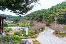 칠갑산산꽃마을 관광 정보와 주변 관광 명소 및 근처 맛집 여행 정보