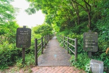 서대문 안산(안산자락길) 관광 정보와 주변 관광 명소 및 근처 맛집 여행 정보