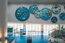 거제조선해양문화관 문화 정보와 주변 관광 명소 및 근처 맛집 여행 정보