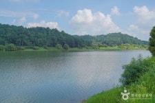 대율저수지 레저스포츠 정보와 주변 관광 명소 및 근처 맛집 여행 정보