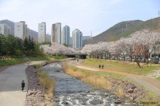 아제돼지국밥 김해율하본점 - 주변 여행 및 근처 관광 명소 - 국내 여행 정보와 관광 명소 정보