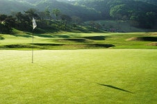 캐슬파인 골프클럽 레저스포츠 정보와 주변 관광 명소 및 근처 맛집 여행 정보