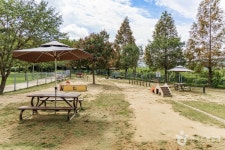 기흥레스피아호수공원 반려동물놀이터 관광 정보와 주변 관광 명소 및 근처 맛집 여행 정보