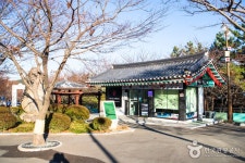 Dalmaji Road (해운대 달맞이길) - Sightseeing - Korea travel and tourism information