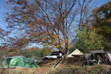 느티나무그늘아래캠핑장 레저스포츠 정보와 주변 관광 명소 및 근처 맛집 여행 정보