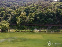 평창문화관광 > 음식 / 숙박 / 쇼핑 > 살래요 평창문화관광  > 음식 / 숙박 / 쇼핑 > 살래요