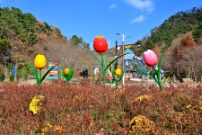 시골돌곱창 - 주변 여행 및 근처 관광 명소 - 국내 여행 정보와 관광 명소 정보