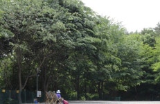 평해향교 - 주변 여행 및 근처 관광 명소 - 국내 여행 정보와 관광 명소 정보