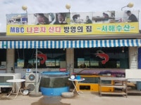 슬로우5션 - 주변 여행 및 근처 관광 명소 - 국내 여행 정보와 관광 명소 정보