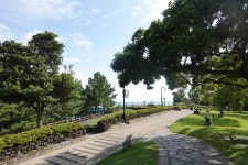 쉬리의언덕 관광 정보와 주변 관광 명소 및 근처 맛집 여행 정보