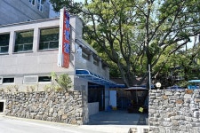 부산청과 - 주변 여행 및 근처 관광 명소 - 국내 여행 정보와 관광 명소 정보
