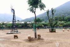 한우드림 동물체험장 관광 정보와 주변 관광 명소 및 근처 맛집 여행 정보