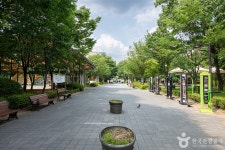 화정중앙공원 관광 정보와 주변 관광 명소 및 근처 맛집 여행 정보