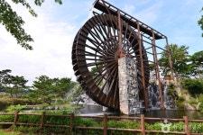 영광불갑테마공원 관광 정보와 주변 관광 명소 및 근처 맛집 여행 정보