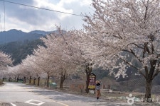 물한계곡 관광 정보와 주변 관광 명소 및 근처 맛집 여행 정보