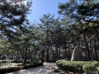 솔밭근린공원 관광 정보와 주변 관광 명소 및 근처 맛집 여행 정보
