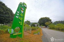 물안개피는 들꽃나루펜션 - 주변 여행 및 근처 관광 명소 - 국내 여행 정보와 관광 명소 정보